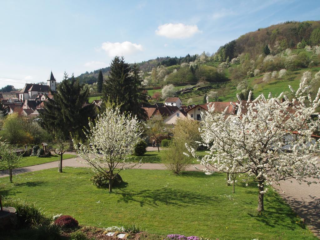 Hotel Dernbachtal المظهر الخارجي الصورة
