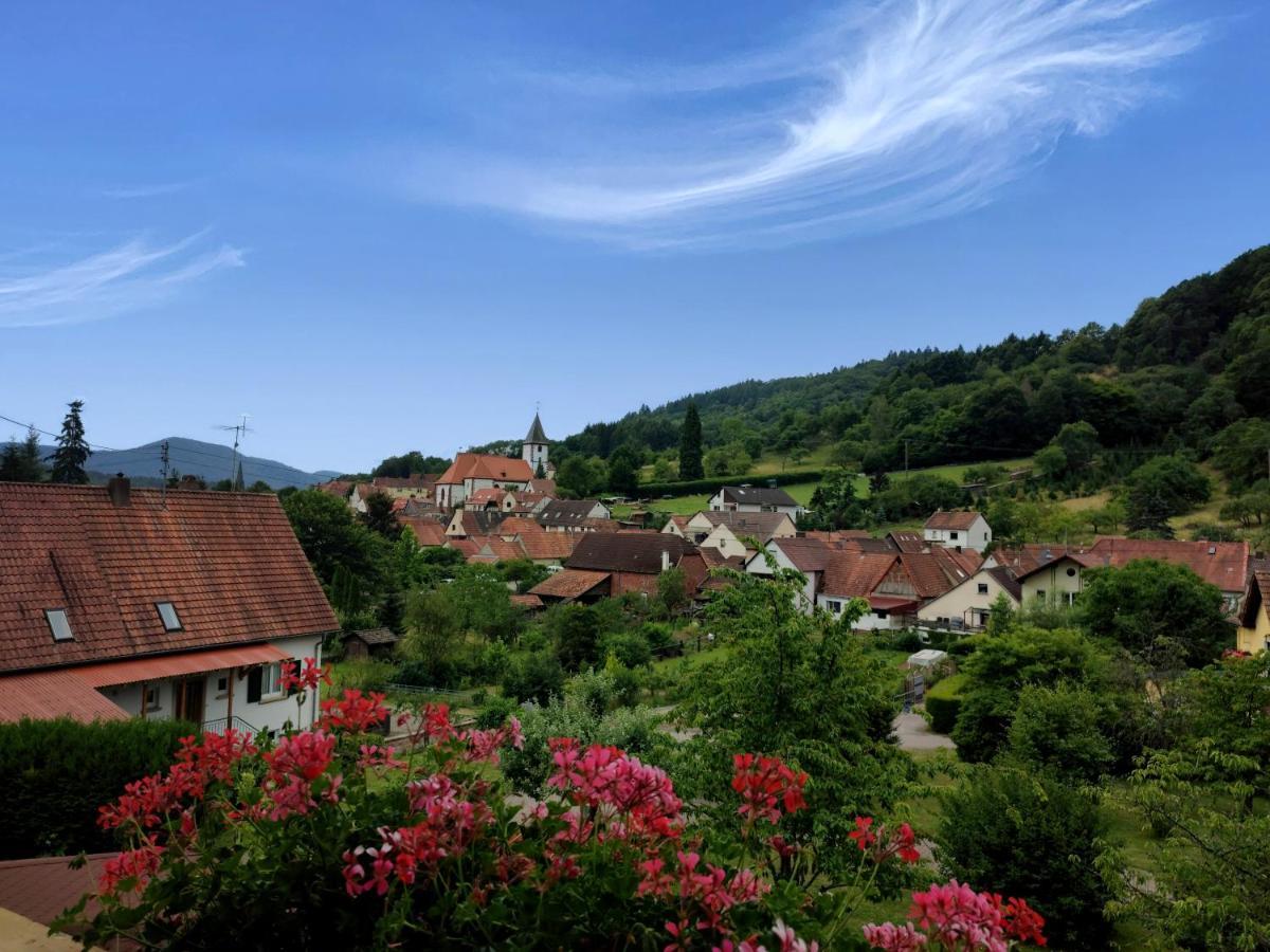Hotel Dernbachtal المظهر الخارجي الصورة